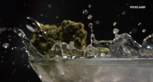Igor Kropotov Director of Photography - Bong Appetit VICELAND