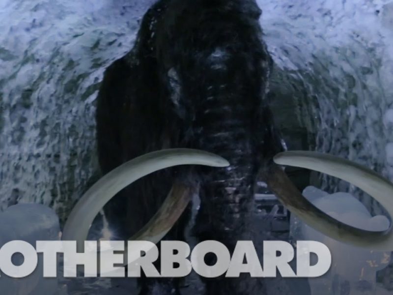 Igor-Kropotov-Director-of-Photography-Motherboard-The-Mission-to-Resurrect-the-Woolly-Mammoth